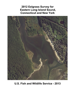 2012 Eelgrass Survey for Eastern Long Island Sound, Connecticut and New York