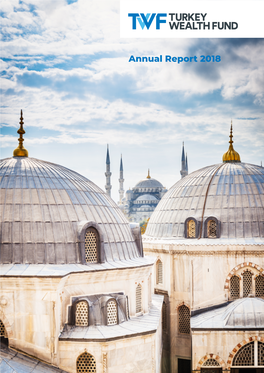 Annual Report 2018 CONTENTS