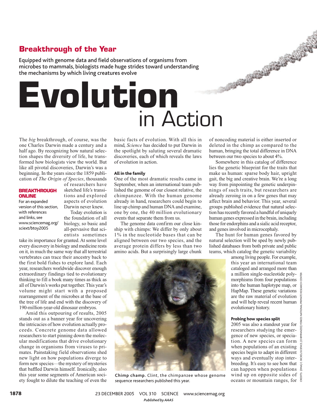 Science Magazine: Evolution in Action (2005)