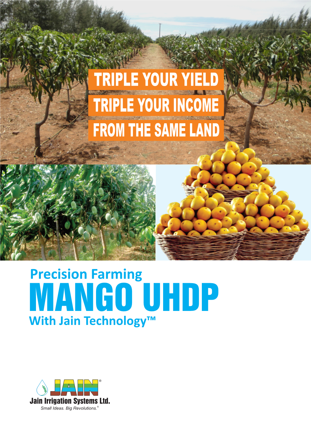 MANGO UHDP with Jain Technology™ MANGO - ULTRA HIGH DENSITY PLANTATION You Have Always Wished That You Had More Land and More Trees to Grow More Mangoes