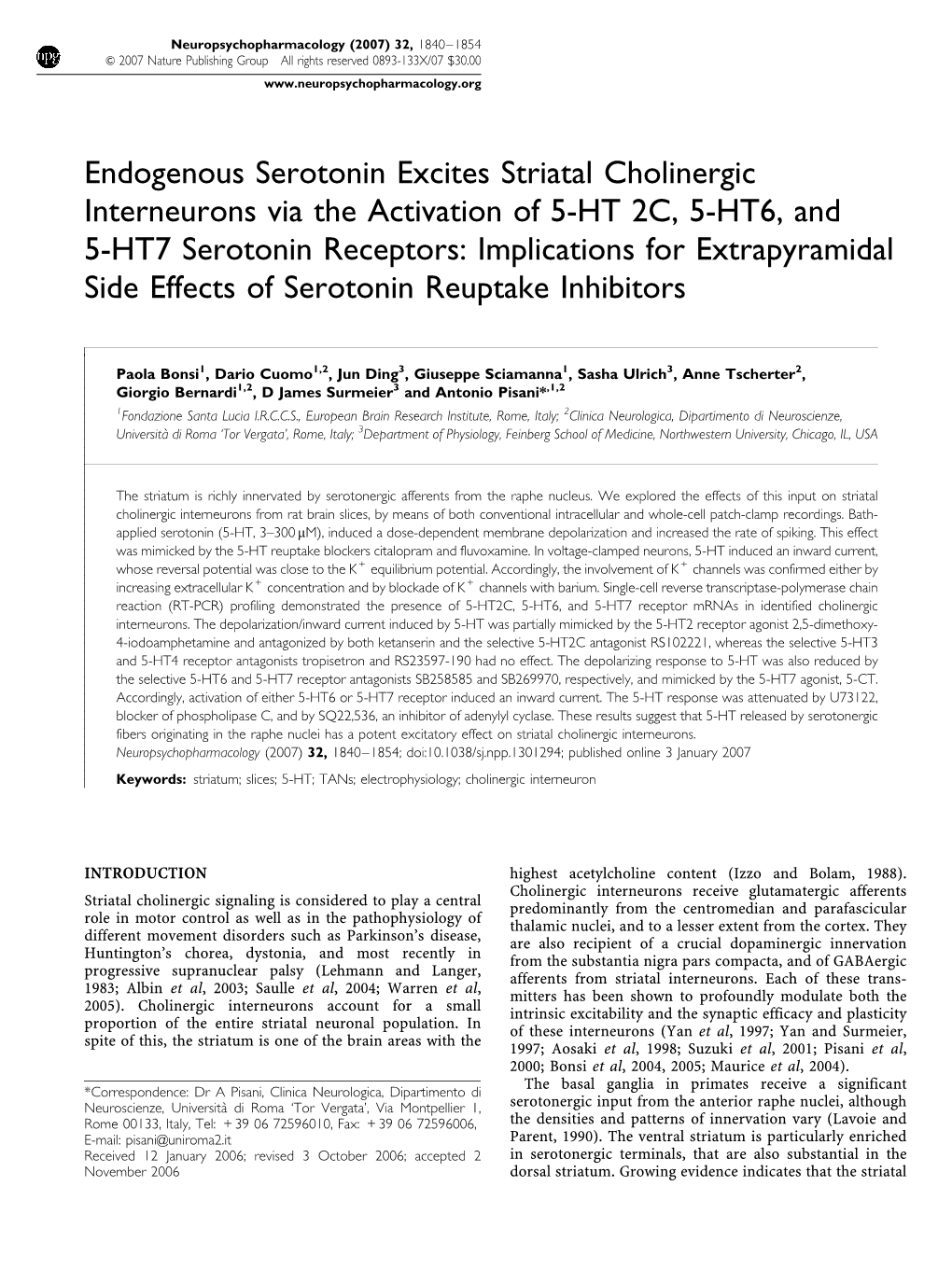 Endogenous Serotonin Excites Striatal Cholinergic Interneurons Via The