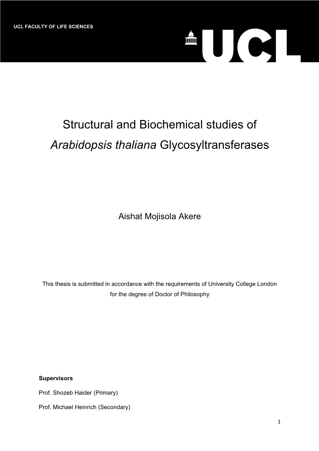 Structural and Biochemical Studies of Arabidopsis Thaliana Glycosyltransferases