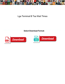 Lga Terminal B Tsa Wait Times