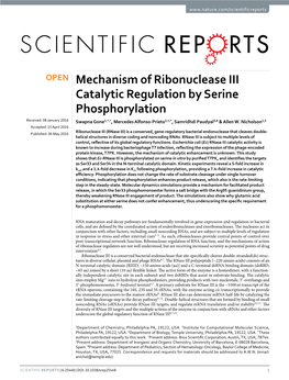 Mechanism of Ribonuclease III Catalytic Regulation by Serine