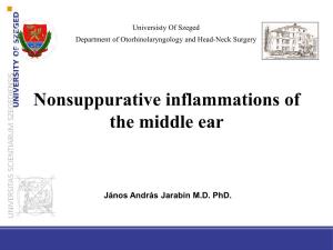 Nonsuppurative Inflammations of the Middle Ear