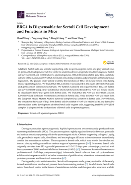 BRG1 Is Dispensable for Sertoli Cell Development and Functions in Mice