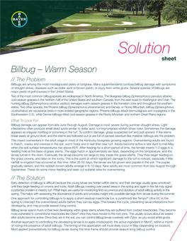 Billbug – Warm Season // the Problem Billbugs Are Among the Most Misdiagnosed Pests of Turfgrass