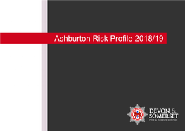 Ashburton Risk Profile 2018/19 Our Priorities