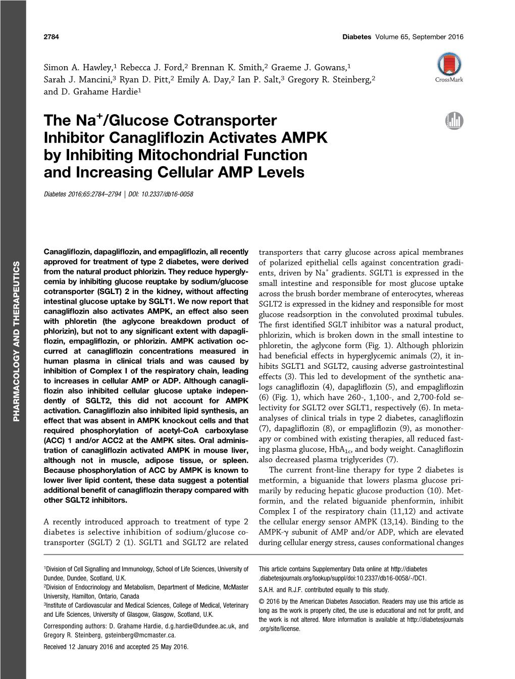 The Na+/Glucose Cotransporter Inhibitor Canagliflozin Activates