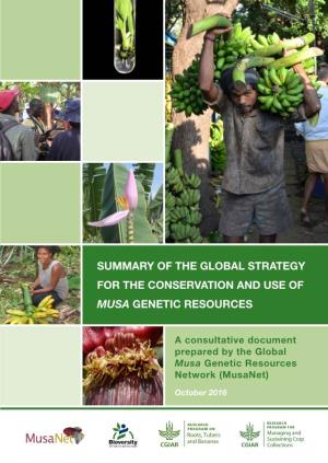 Summary of the Global Strategy for the Conservation and Use of Musa Genetic Resources