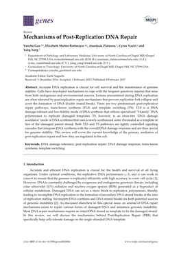 Mechanisms of Post-Replication DNA Repair