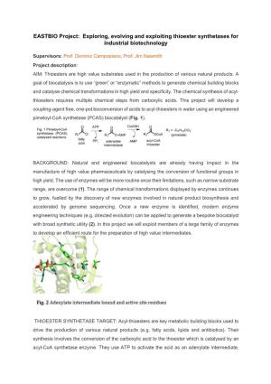 EASTBIO Project: Exploring, Evolving and Exploiting Thioester Synthetases for Industrial Biotechnology