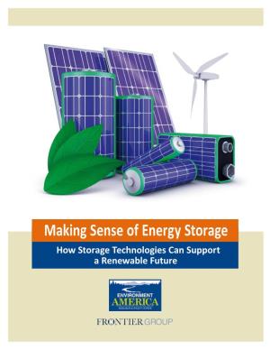 Making Sense of Energy Storage