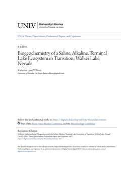 Biogeochemistry of a Saline, Alkaline, Terminal Lake Ecosystem In
