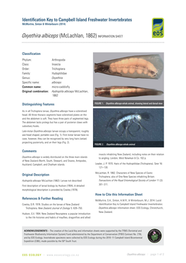 Oxyethira Albiceps (Mclachlan, 1862) INFORMATION SHEET ECOLOGY