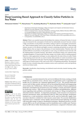 Deep Learning Based Approach to Classify Saline Particles in Sea Water