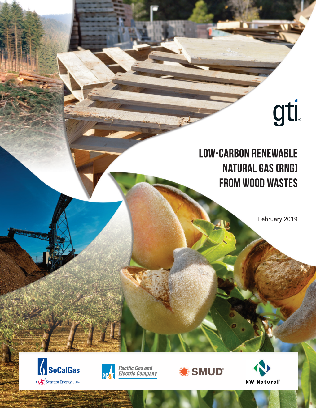 Low-Carbon Renewable Natural Gas (RNG) from Wood Wastes