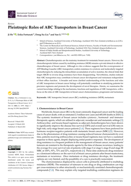 Pleiotropic Roles of ABC Transporters in Breast Cancer