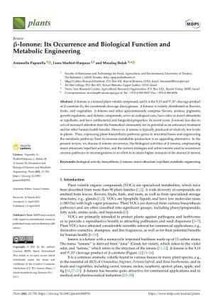 Ionone: Its Occurrence and Biological Function and Metabolic Engineering