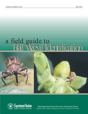 Technical Bulletin 228 a Field Guide to Boll Weevil Identification