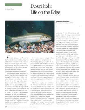 Desert Fish: Life on the Edge