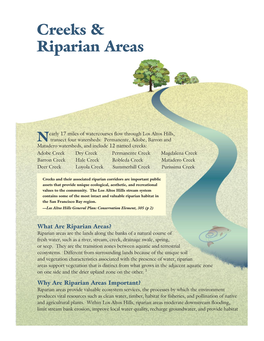 Creeks & Riparian Areas