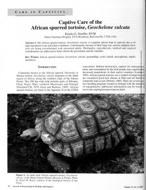 Captive Care of the African Spurred Tortoise, Geochelone Sulcata Kendra E