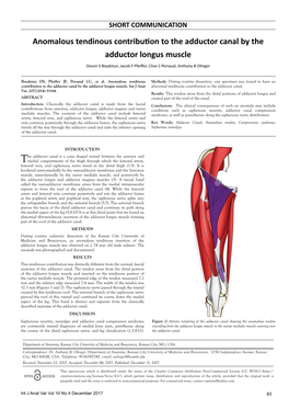 Anomalous Tendinous Contribution to the Adductor Canal by the Adductor Longus Muscle