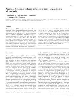 Adrenocorticotropin Induces Heme Oxygenase-1 Expression in Adrenal Cells