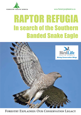 In Search of the Southern Banded Snake Eagle