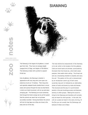 Zoo Notes Acts As a Resonating Chamber to Amplify and Carry Like All Gibbons, the Siamang Is Slender in the Call