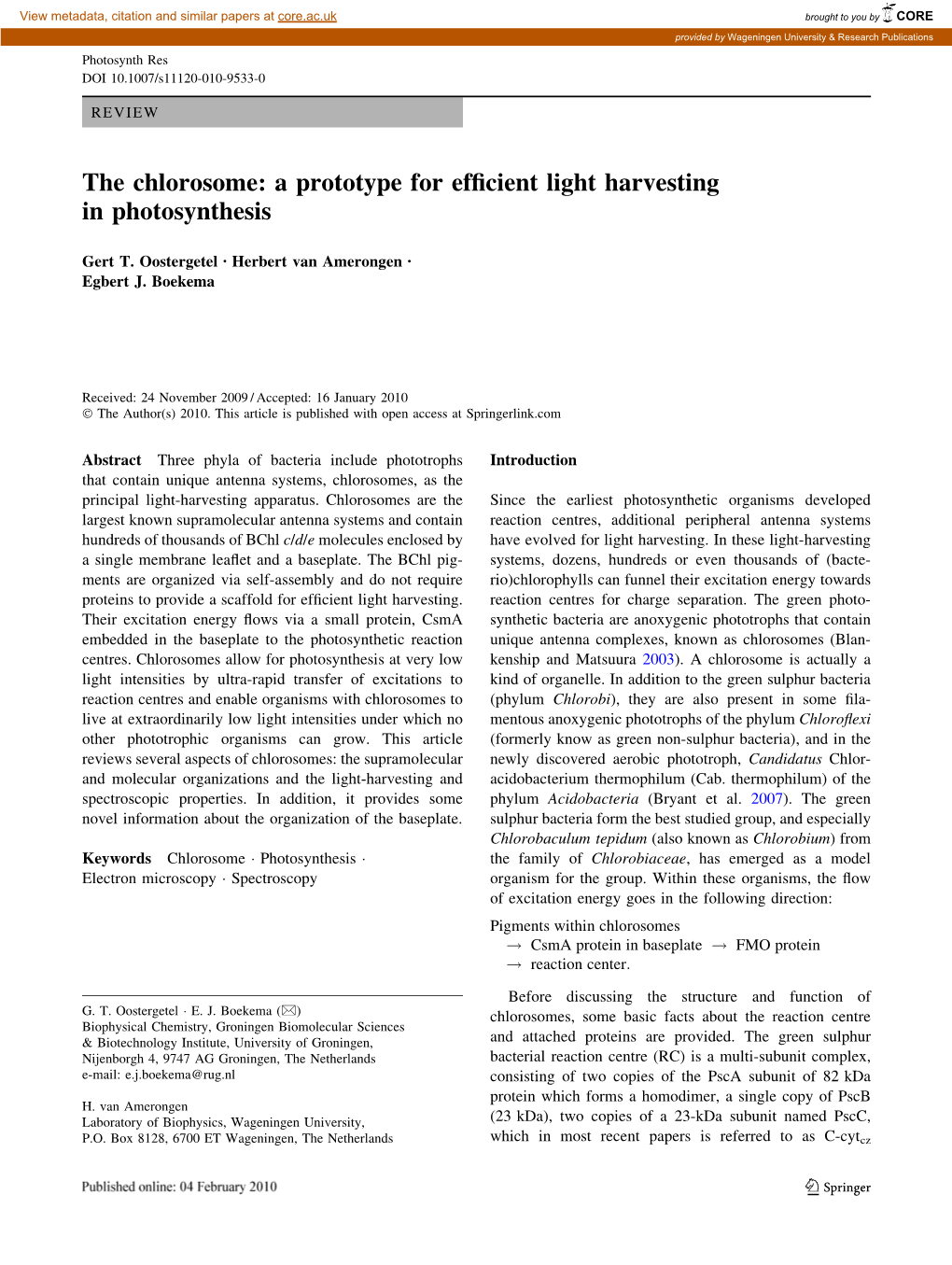 The Chlorosome: a Prototype for Efficient Light Harvesting In