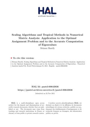 Scaling Algorithms and Tropical Methods in Numerical Matrix Analysis