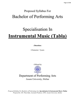 Instrumental Music (Tabla)