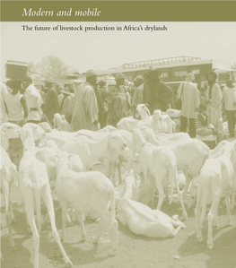 Modern and Mobile the Future of Livestock Production in Africa's