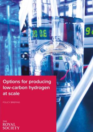 Options for Producing Low-Carbon Hydrogen at Scale
