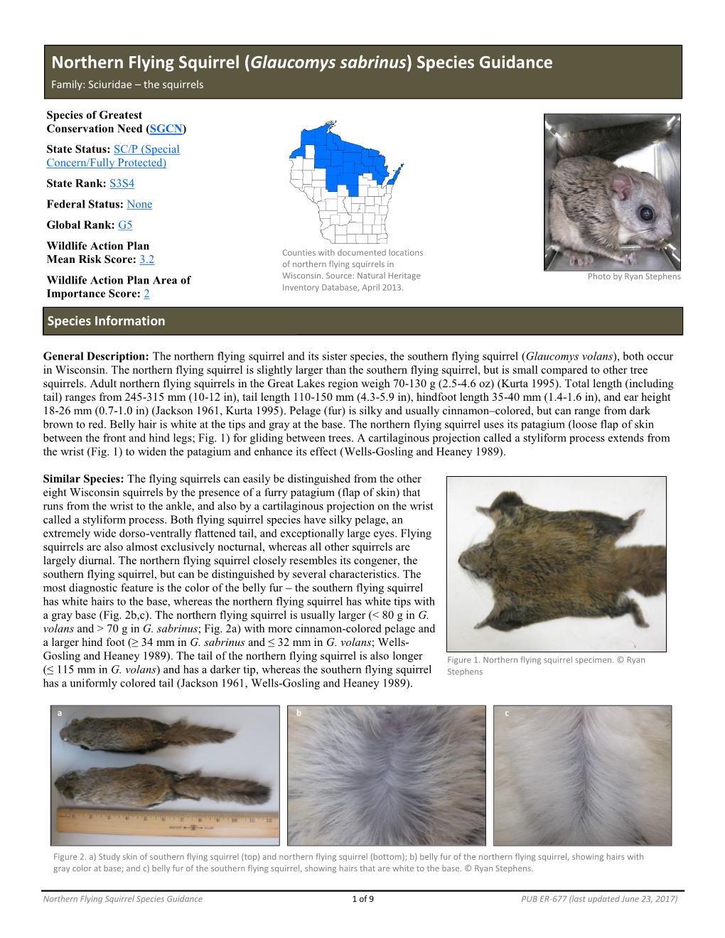 Northern Flying Squirrel (Glaucomys Sabrinus) Species Guidance Family: Sciuridae – the Squirrels