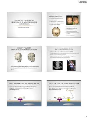 Durussel John -- Bone Mineralization Dependent Craniosynostosis and Craniofacial Shape Abnormalities.Pdf