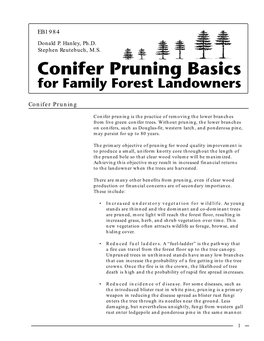 Conifer Pruning EB1984