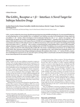 The GABAA Receptor Interface: a Novel Target for Subtype Selective Drugs