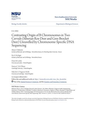 (Siberian Roe Deer and Grey Brocket Deer) Unravelled by Chromosome-Specific DNA Sequencing Alexey I
