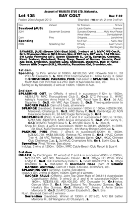 Lot 138 BAY COLT Box F 32 Foaled 22Nd August 2019 Branded : Nr Sh; 2 Over 9 Off Sh