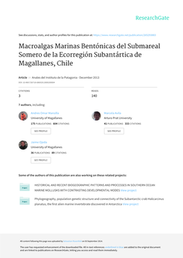 Macroalgas Marinas Bentónicas Del Submareal Somero De La Ecorregión Subantártica De Magallanes, Chile