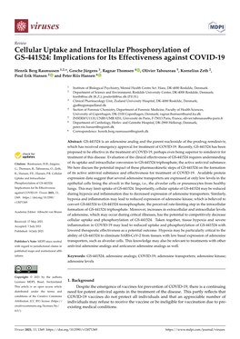 Cellular Uptake and Intracellular Phosphorylation of GS-441524: Implications for Its Effectiveness Against COVID-19