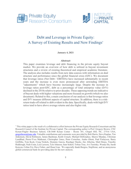 Debt and Leverage in Private Equity: a Survey of Existing Results and New Findings*