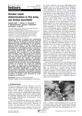 Worker Caste Determination in the Army Ant Eciton Burchellii