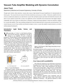 Vacuum Tube Amplifier Modeling with Dynamic Convolution