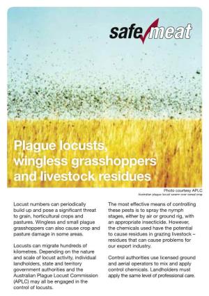 Plague Locusts, Wingless Grasshoppers and Livestock Residues