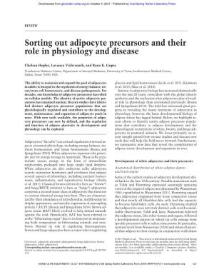 Sorting out Adipocyte Precursors and Their Role in Physiology and Disease
