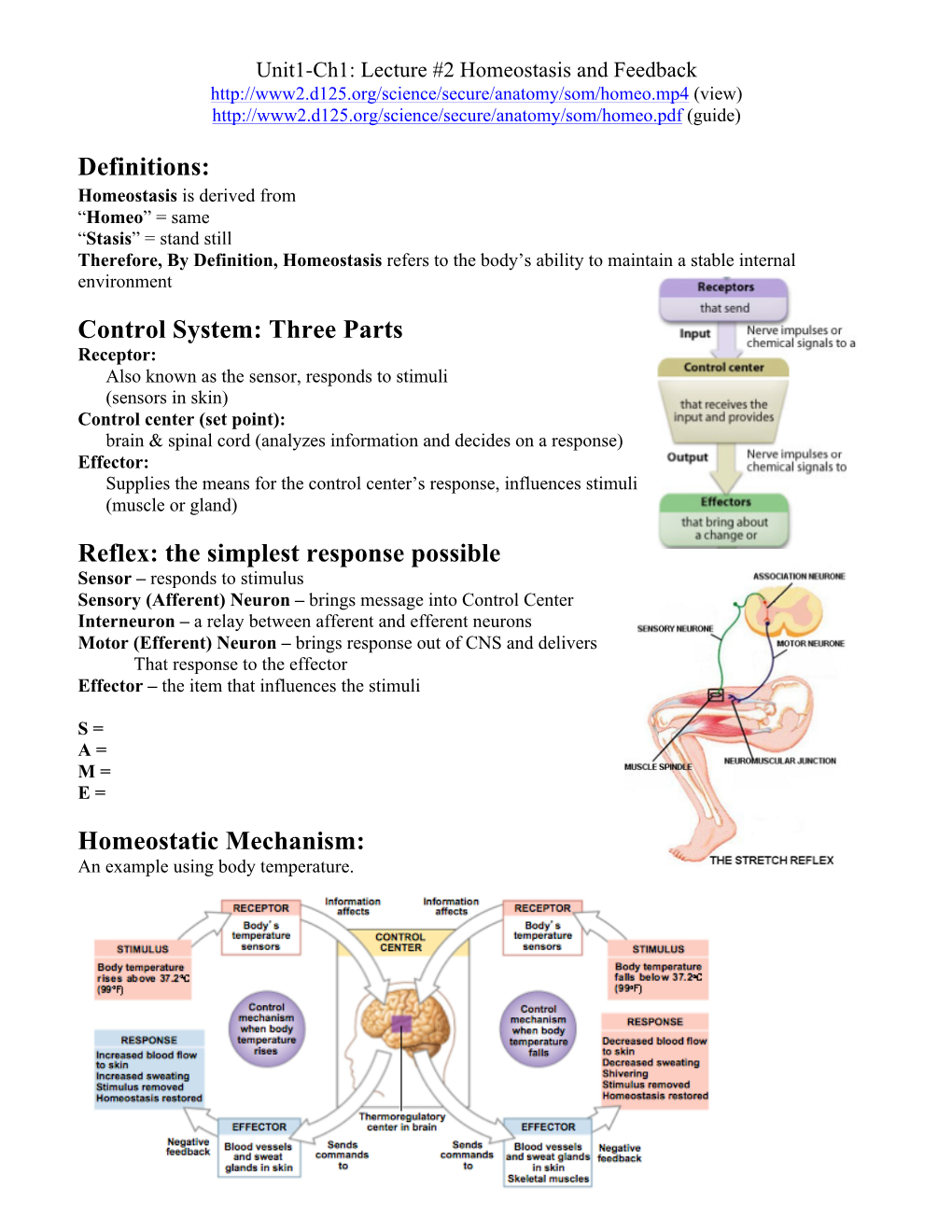 Three Parts Reflex: the Simplest Response Possible Homeostatic